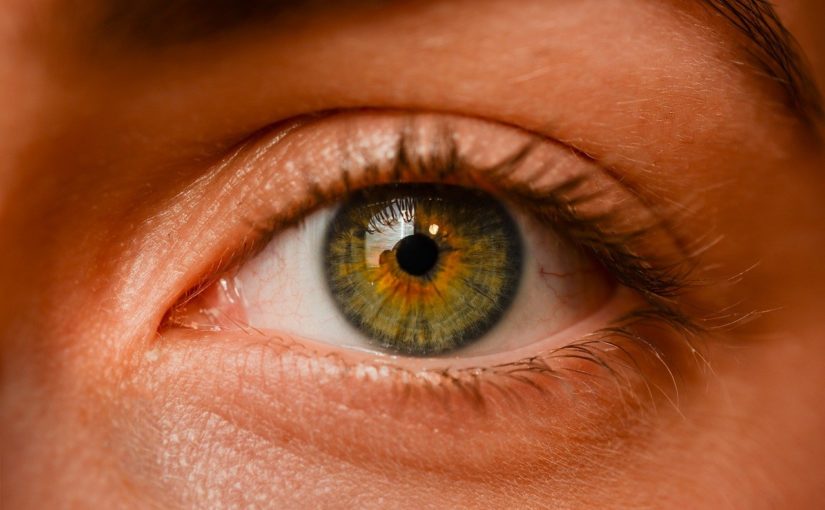 Oczy to osobliwy organ. To dokładnie dzięki nim widzimy.